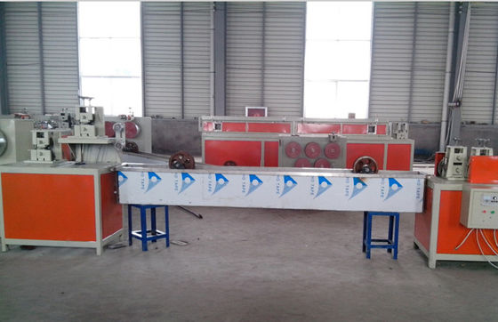 Einzelnes Schraube HAUSTIER pp., das Band-Maschine 380V 50HZ 60kg/h gurtet